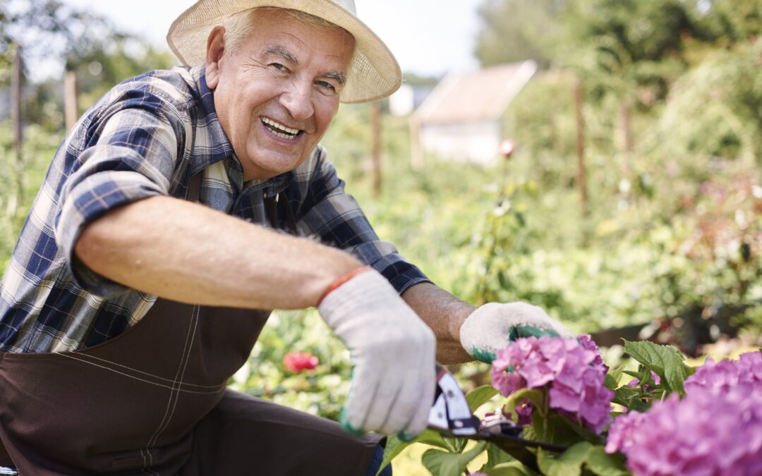 Bloom into Better Health: 8 Benefits of Gardening for Seniors